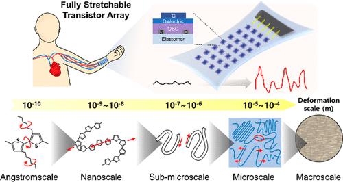 ToC graphic for Structural Insights into Conjugated Polymers for Stretchable Organic Transistors
