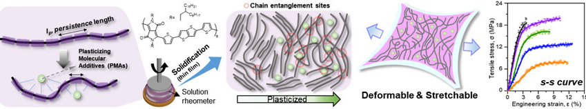 ToC graphic for Enhancing Mechanical Deformability of Rigid Conjugated Polymers through Functional Additive-Induced Persistence Length Modulation