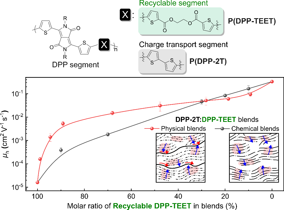 ToC graphic for Balancing Sustainability and Performance in Ester-Incorporated Polymers for Organic Field-Effect Transistors via Physical and Chemical Blending