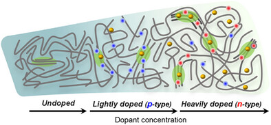 ToC graphic for Accompanying Structural Transformations in Polarity Switching of Heavily Doped Conjugated Polymers