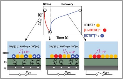 ToC graphic for Protonated Organic Semiconductors: Origin of Water-Induced Charge-Trap Generation