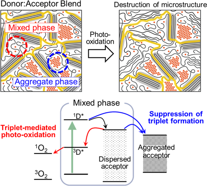 ToC graphic for Nanomorphology Dependence of the Environmental Stability of Organic Solar Cells